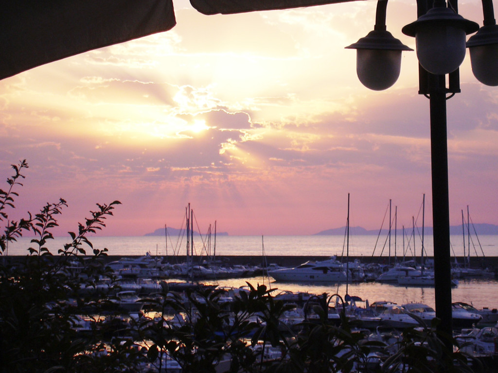 cormorano_capri