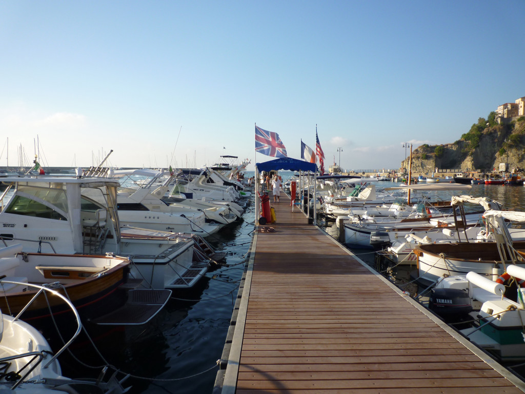 cormorano_pontile